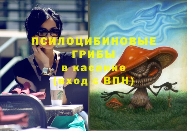 прущие грибы Алексин