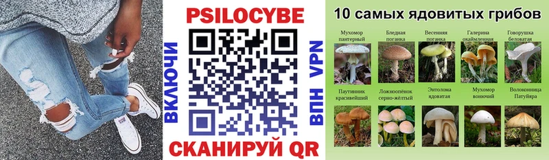 Галлюциногенные грибы мицелий  даркнет сайт  KRAKEN ТОР  Богородск 